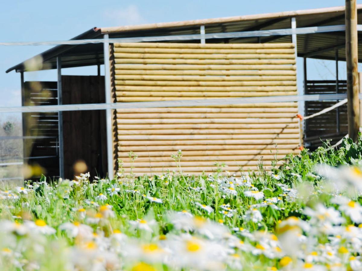 Nogueira Country House Guest House Fundão Eksteriør bilde